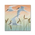 Trademark Fine Art Kathrine Lovell 'Free as a Bird II v2' Canvas Art, 14x14 WAP00776-C1414GG